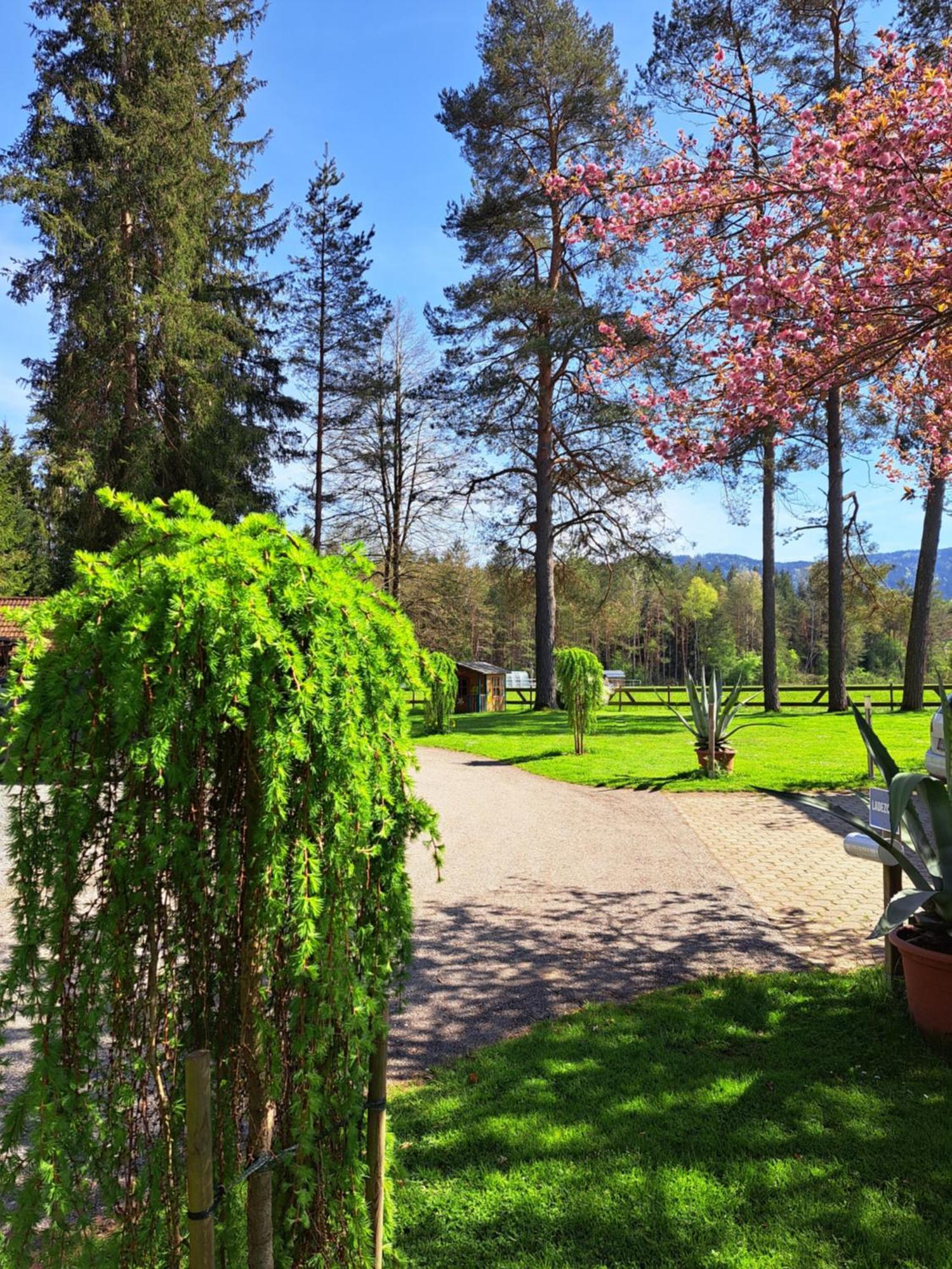 Pension Fischinger Feldkirchen in Kärnten Exterior foto